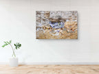 Kotel Wall Art Print: Nested Prayer Paper Notes In a Western Wall Stone