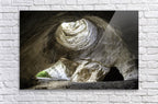 Israeli Holy Land Biblical Cave — Natural Beit Guvrin Cave