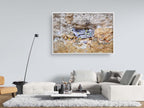 Kotel Wall Art Print: Nested Prayer Paper Notes In a Western Wall Stone