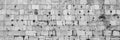 Black and White Panoramic Kotel Western Wall Stones with Vegetation