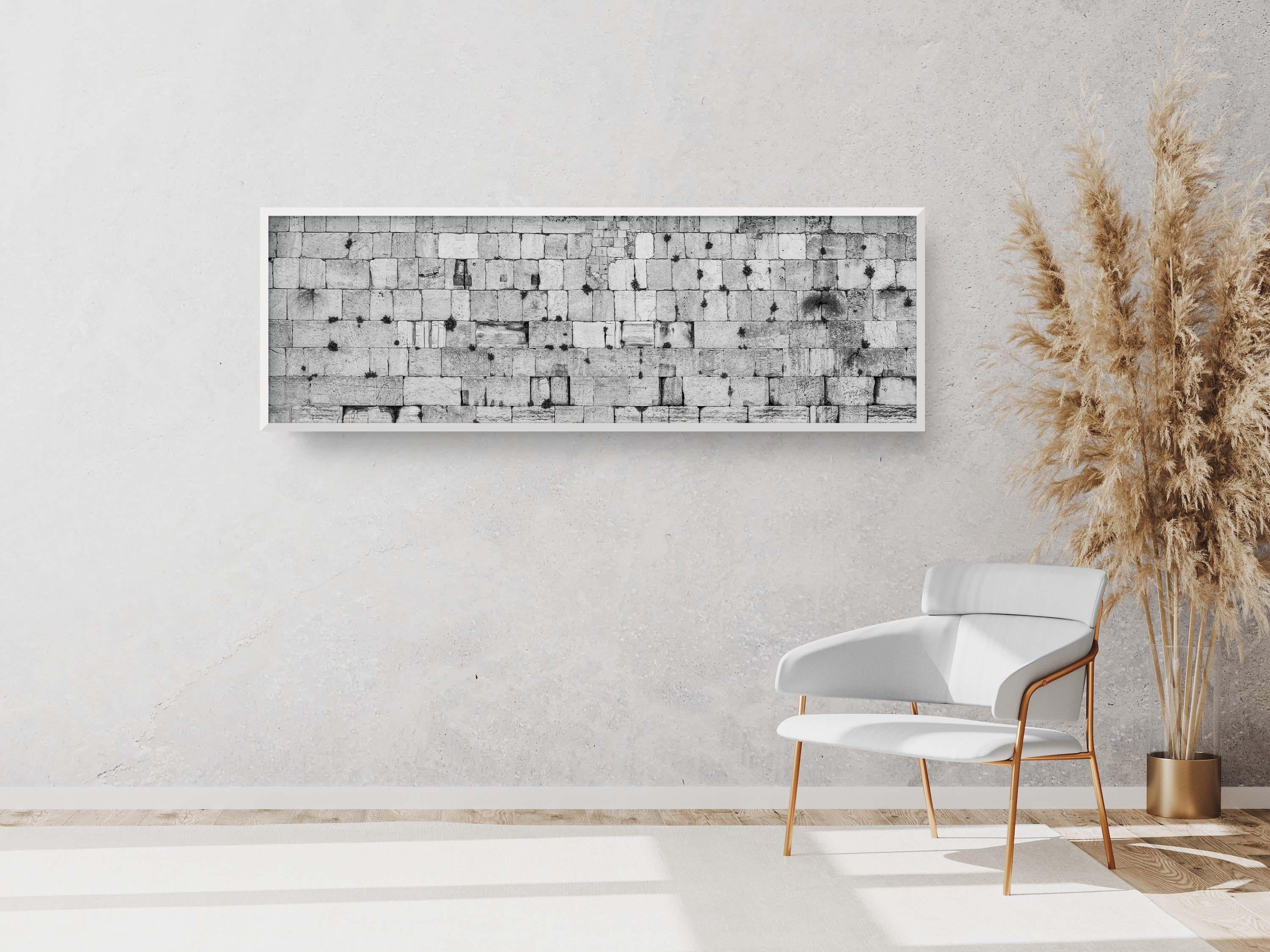 Black and White Panoramic Kotel Western Wall Stones with Vegetation