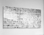 Extra Large Black & White Panoramic Kotel Western Wall with Vegetation