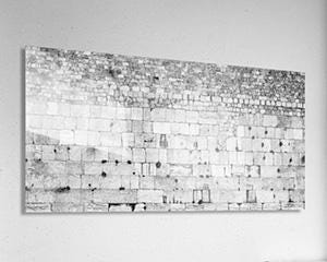 Extra Large Black & White Panoramic Kotel Western Wall with Vegetation
