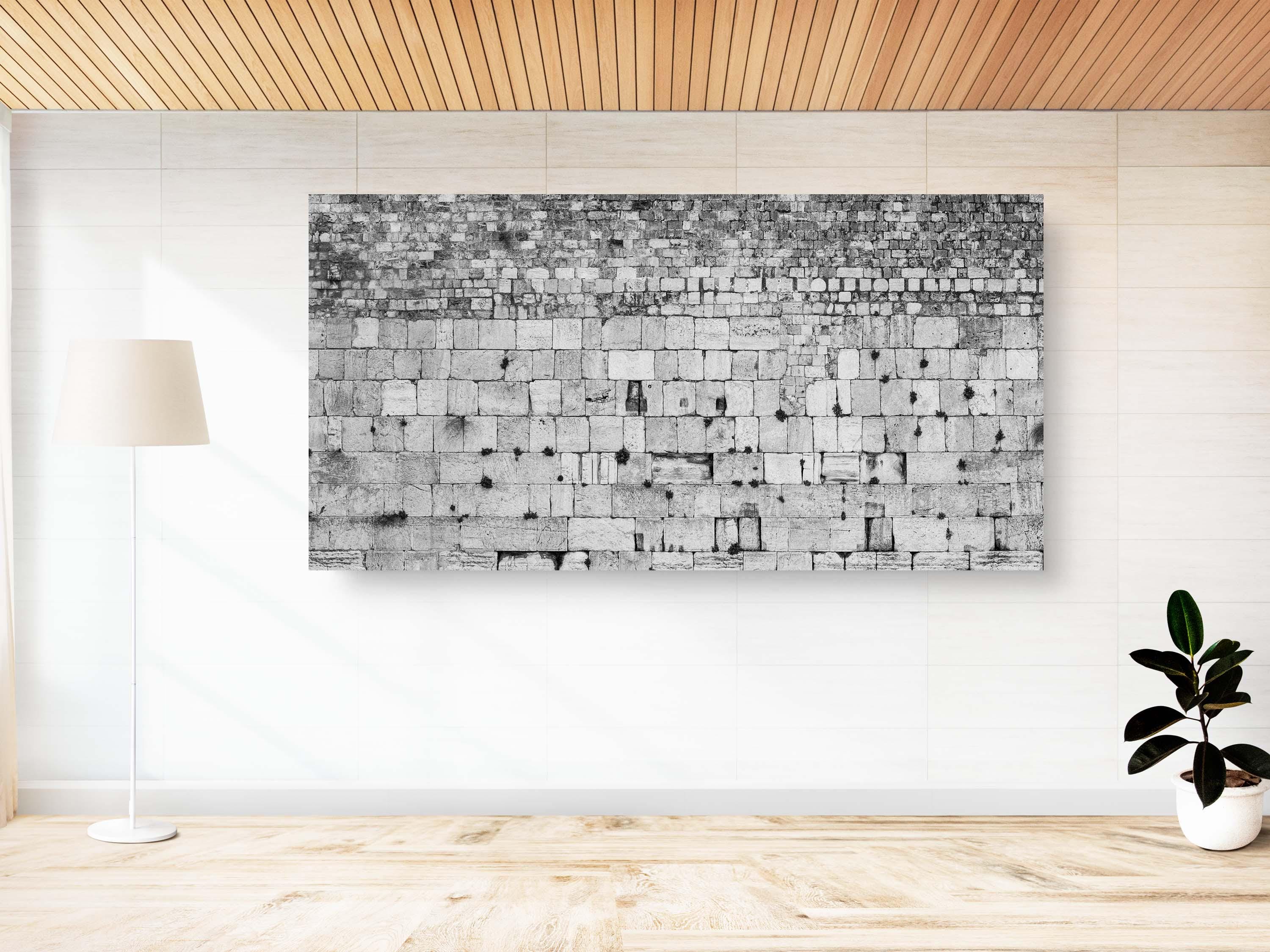 Extra Large Black & White Panoramic Kotel Western Wall with Vegetation