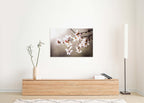 Macro Almond Blooming Flowers — Israel Holy Land White Pink Flowers