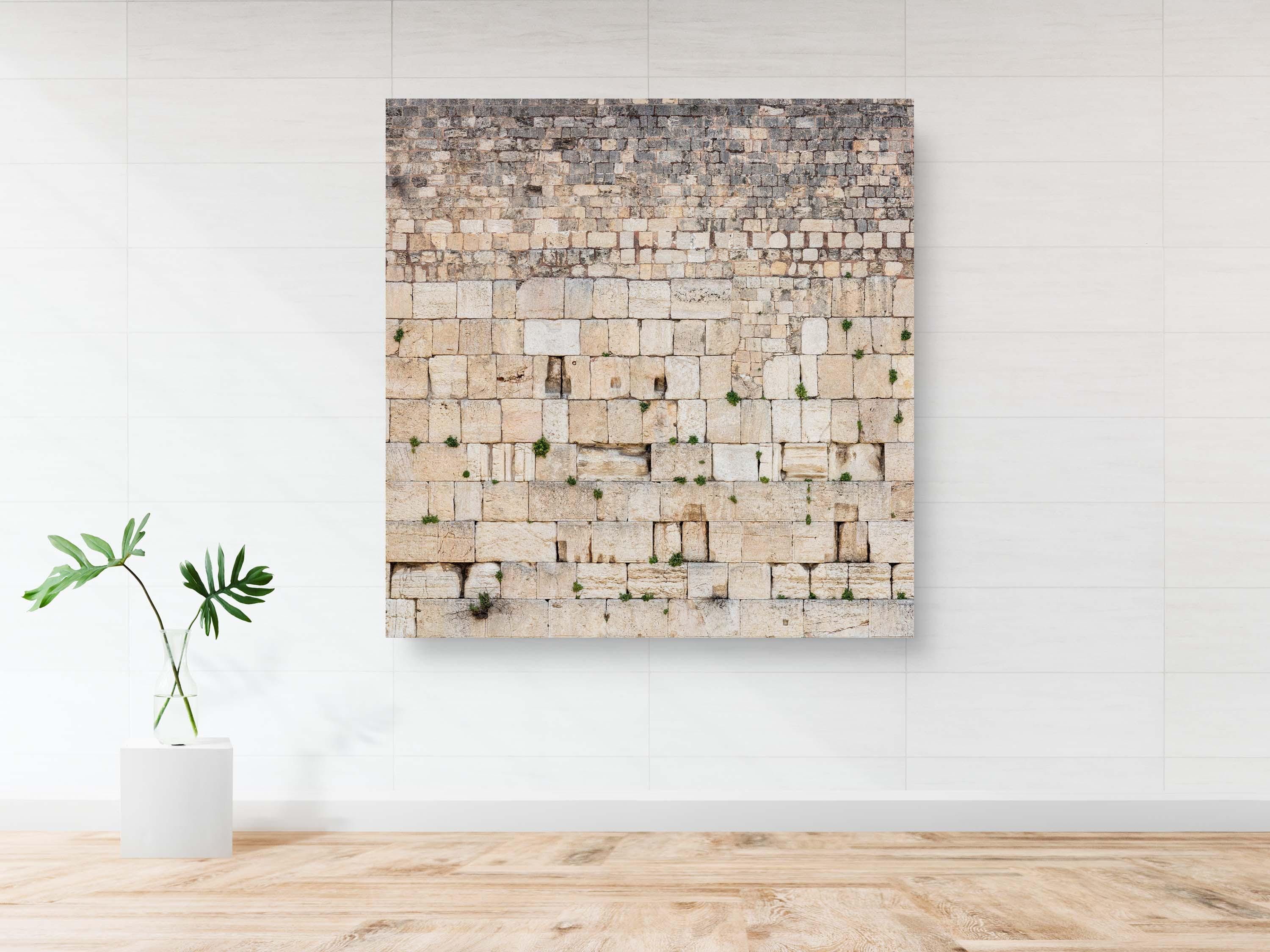 Panoramic Jerusalem Kotel Wall Art Square Print - Vegetation on the Western Wall