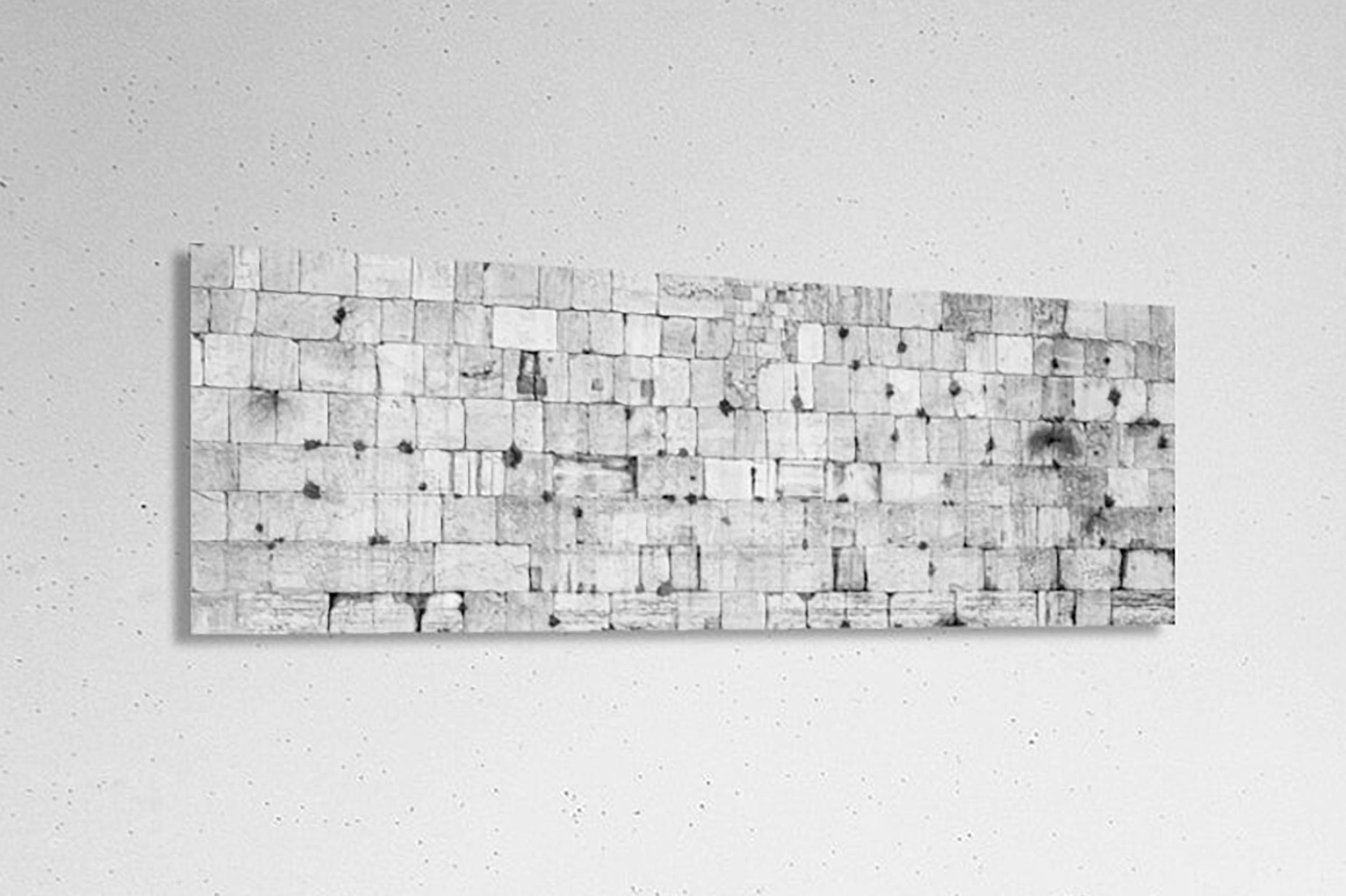Black and White Panoramic Kotel Western Wall Stones with Vegetation