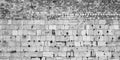 Extra Large Black & White Panoramic Kotel Western Wall with Vegetation