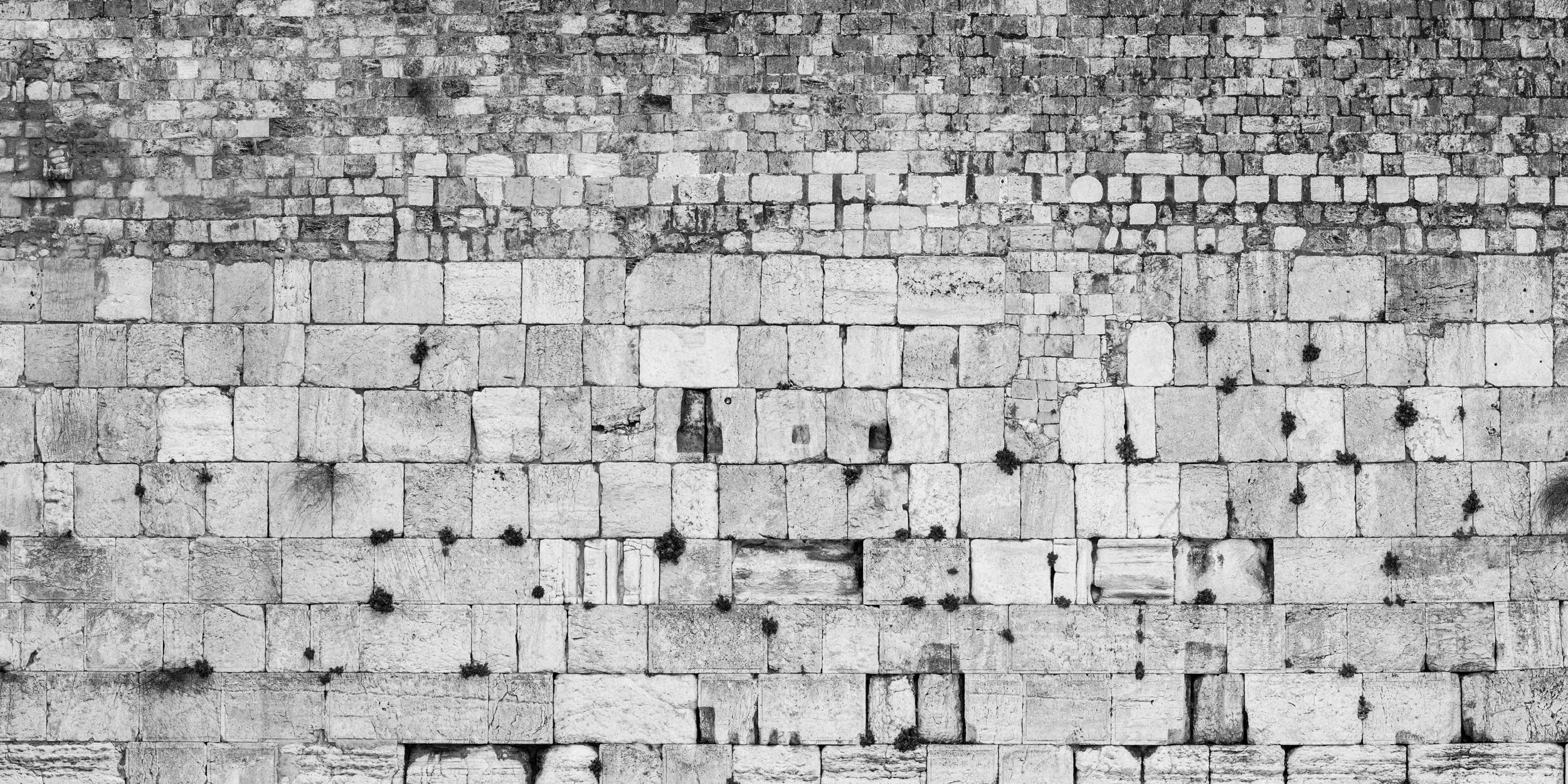 Extra Large Black & White Panoramic Kotel Western Wall with Vegetation