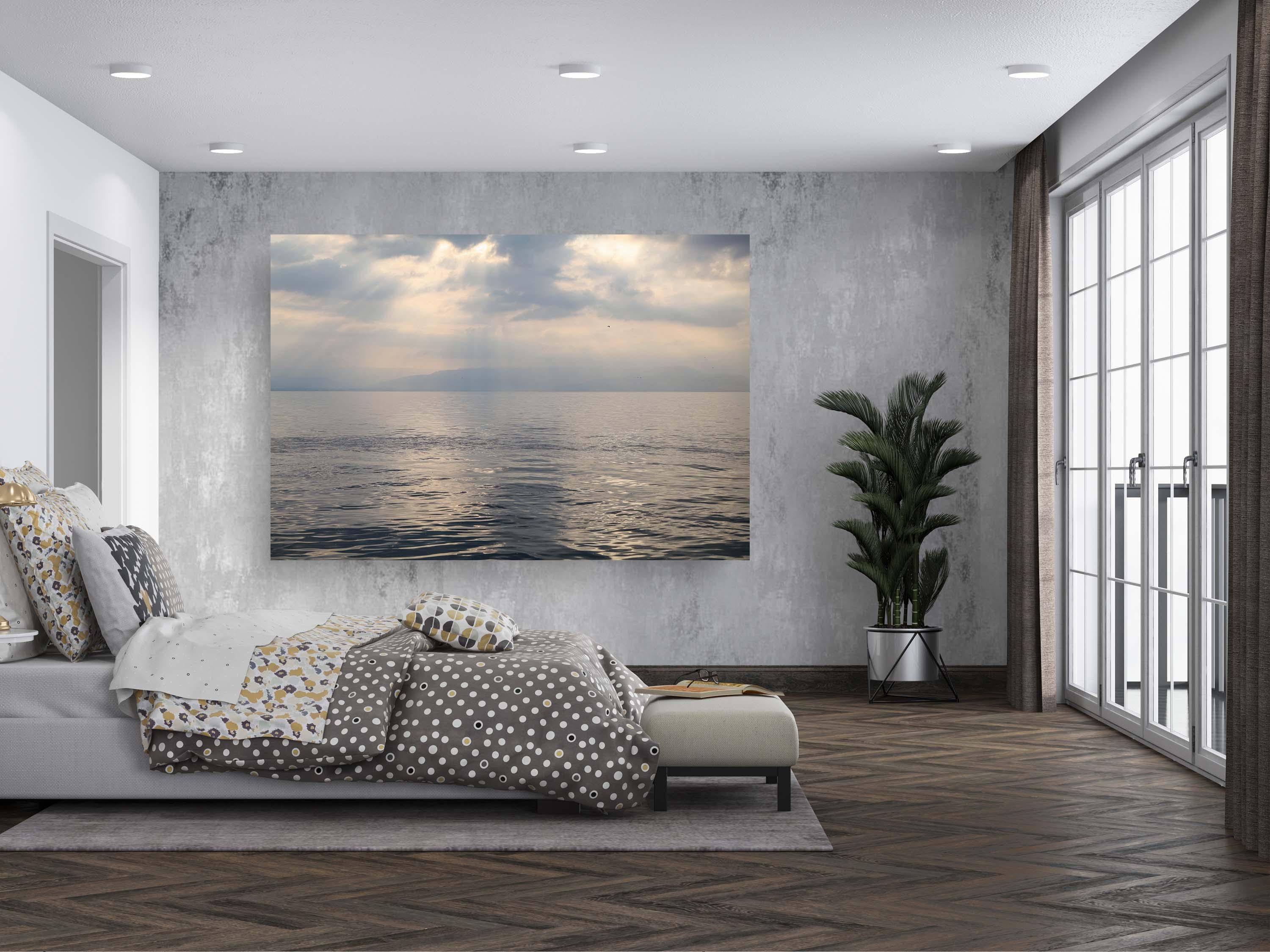 Israeli Holy Land Tiberias Lake — Sea of Galilee — the Kinneret at the Cloudy Sunrise with a bird