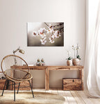 Macro Almond Blooming Flowers — Israel Holy Land White Pink Flowers