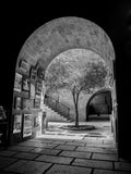 Black and White Jerusalem Old City Pedestrian Street with Olive Tree, Arch and Paintings on wall