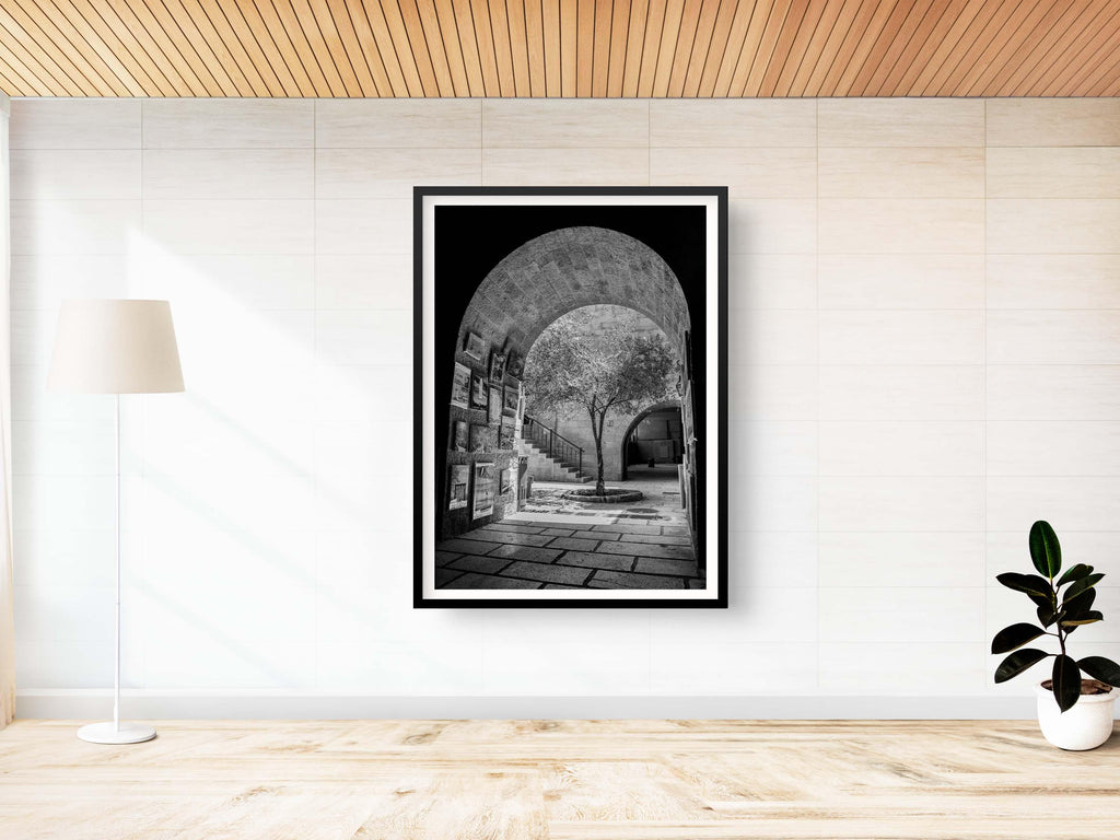 Black and White Jerusalem Old City Pedestrian Street with Olive Tree, Arch and Paintings on wall