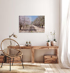 Israeli Holy Land Blooming Trees Landscape — Almond Blossom Flowers
