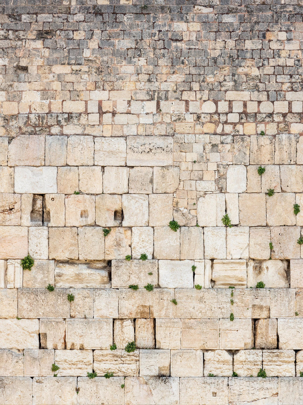 Jerusalem Kotel Western Wall Vertical — Vegetation & Prayer Paper Notes Between Stones