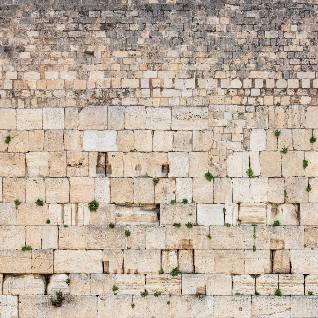 Panoramic Jerusalem Kotel Wall Art Square Print - Vegetation on the Western Wall