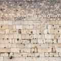 Panoramic Jerusalem Kotel Wall Art Square Print - Vegetation on the Western Wall