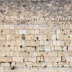 Panoramic Jerusalem Kotel Wall Art Square Print - Vegetation on the Western Wall