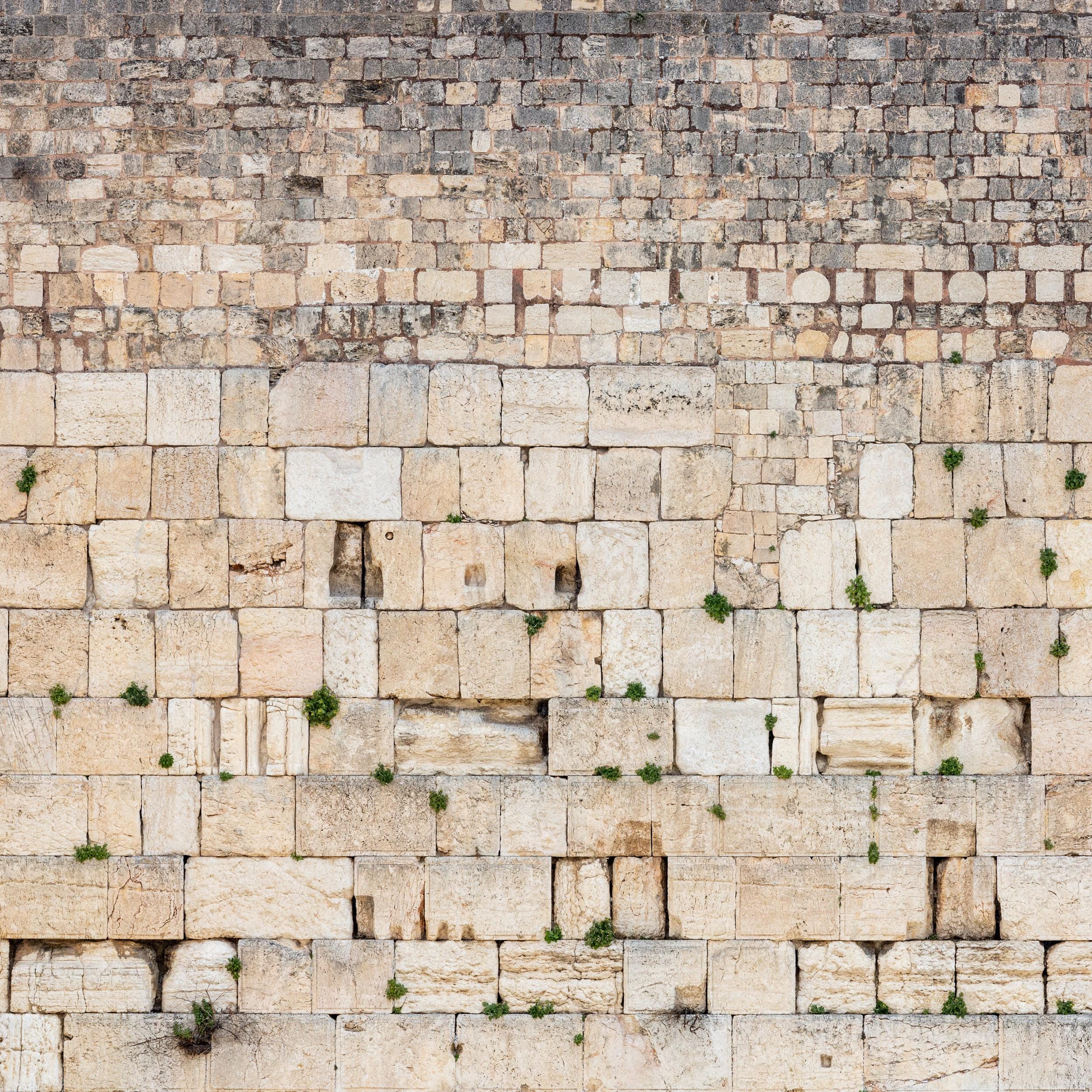 Panoramic Jerusalem Kotel Wall Art Square Print - Vegetation on the Western Wall