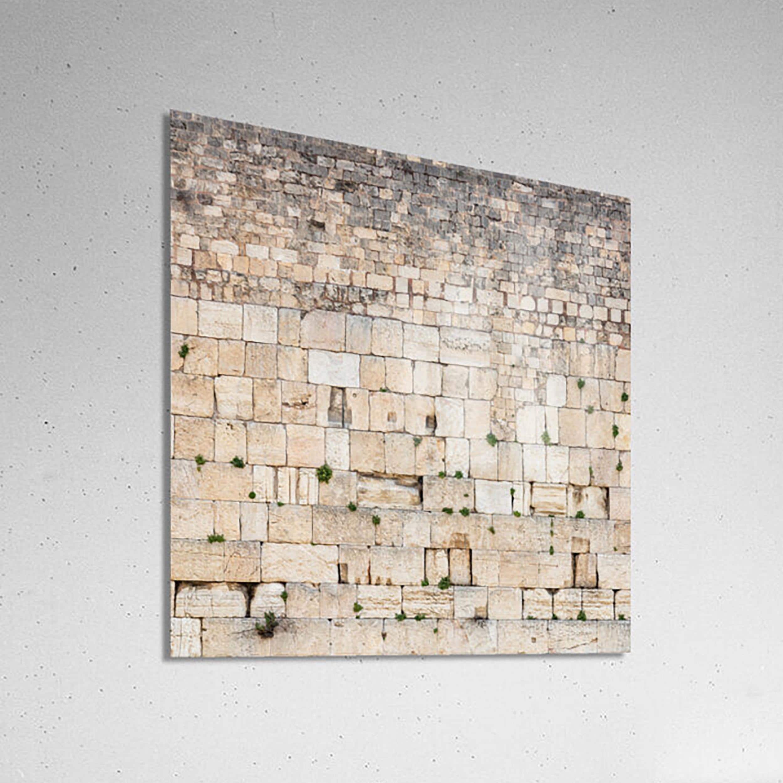 Panoramic Jerusalem Kotel Wall Art Square Print - Vegetation on the Western Wall