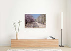 Israeli Holy Land Blooming Trees Landscape — Almond Blossom Flowers