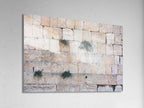 Jerusalem Kotel Western Wall with Bush