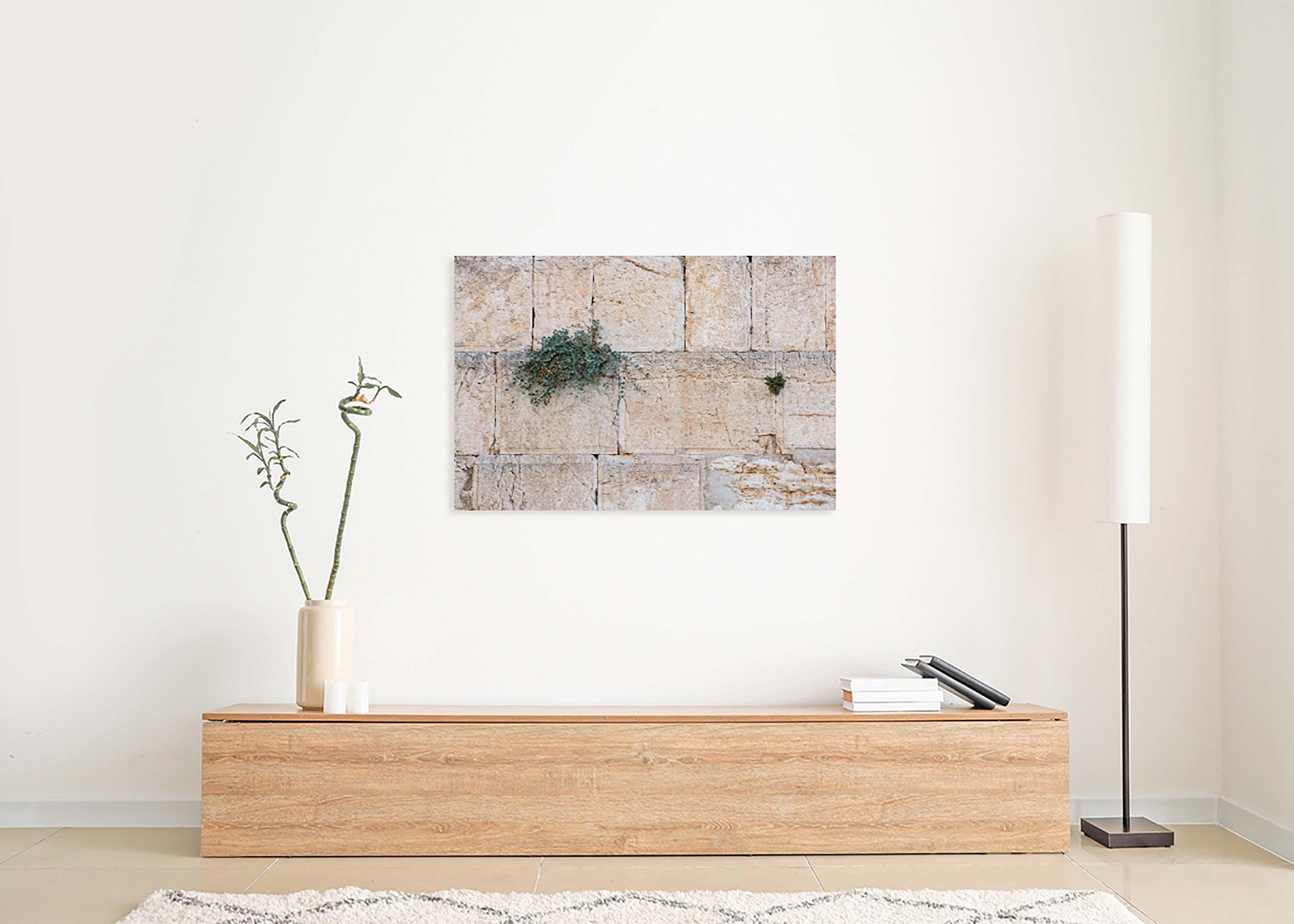 Jerusalem Kotel Western Wall with Green Bush & Plant Vegetation between Stones