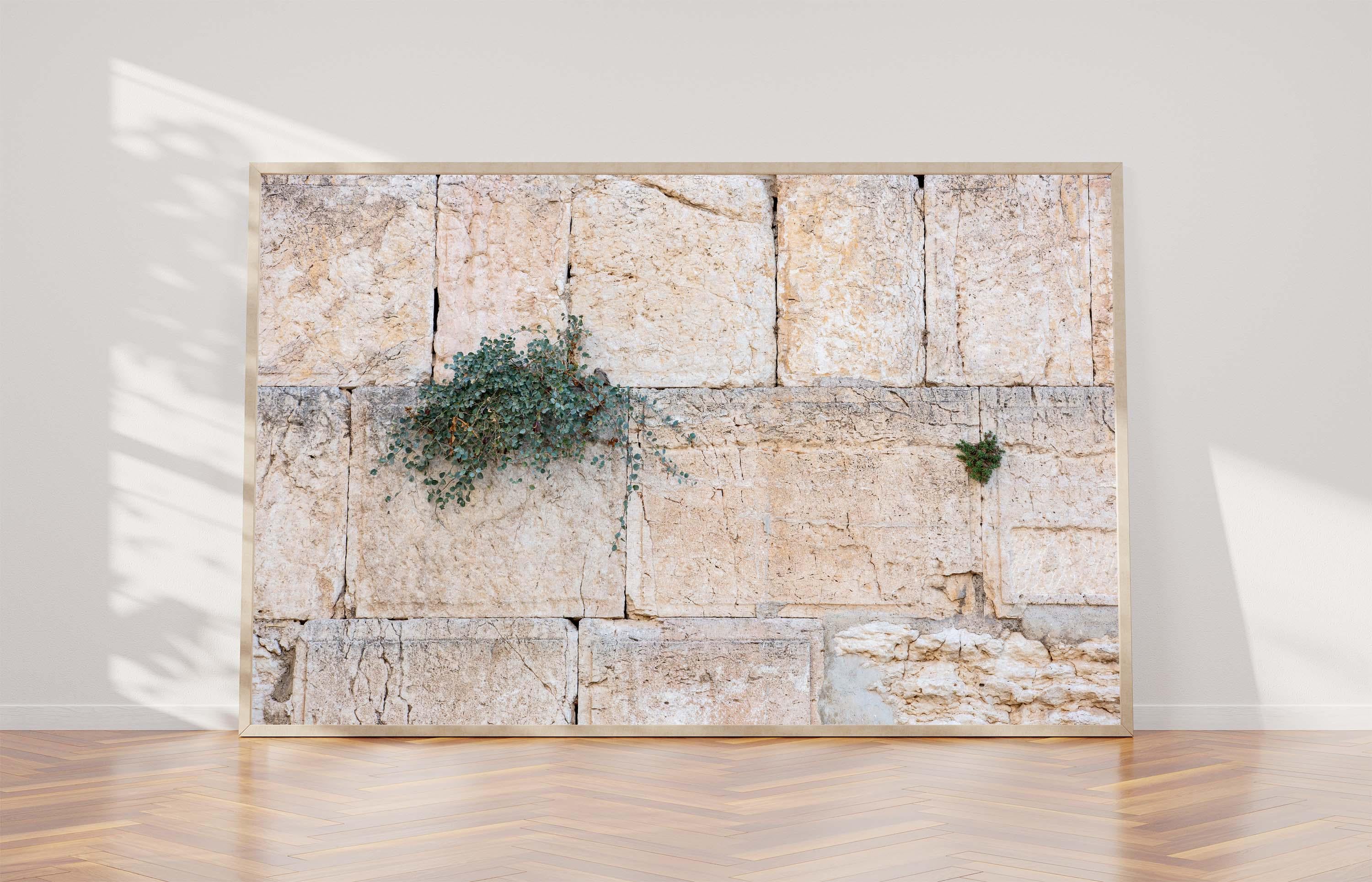 Jerusalem Kotel Western Wall with Green Bush & Plant Vegetation between Stones