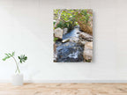 Israel Holy Land Nahal Prat River with Fig Tree and Rocks - Judean Desert
