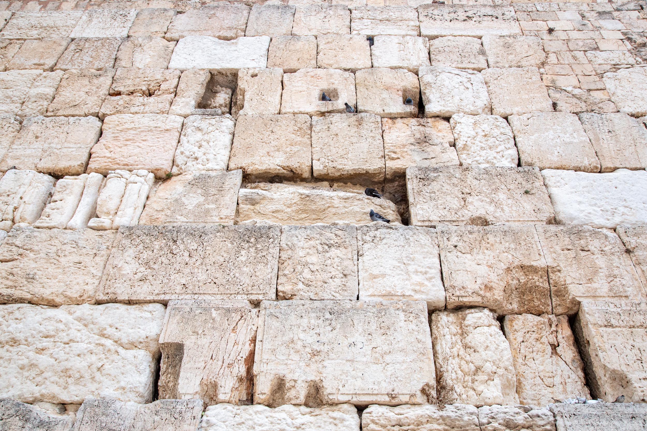 Jerusalem Kotel Western Wall with Pigeons on Stones