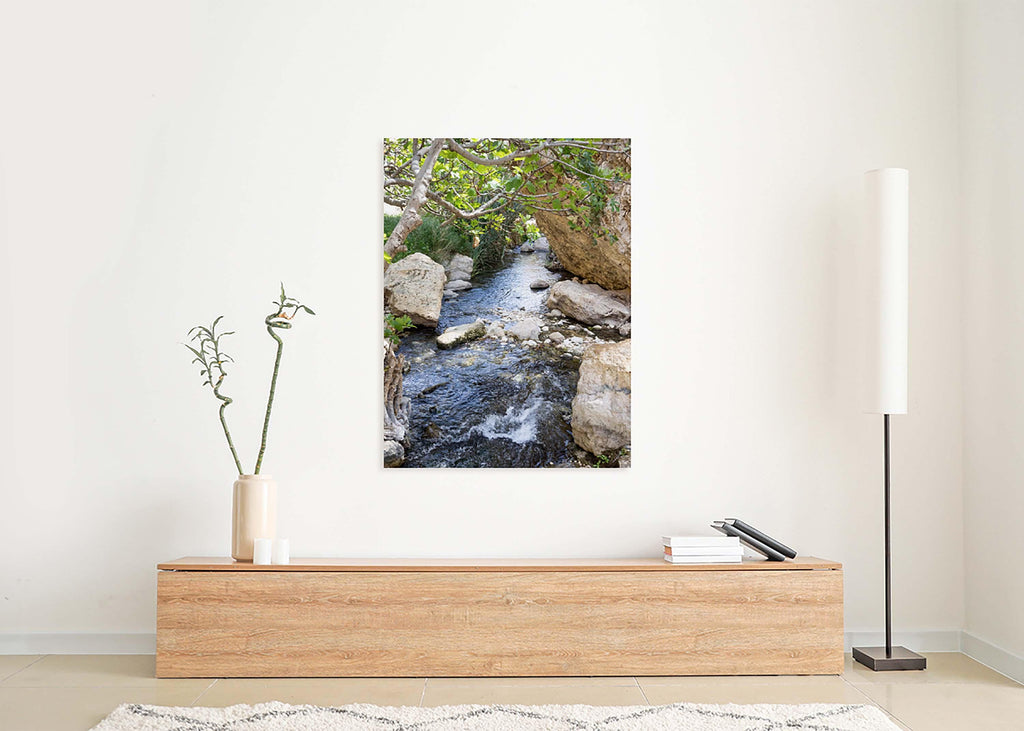 Israel Holy Land Nahal Prat River with Fig Tree and Rocks - Judean Desert