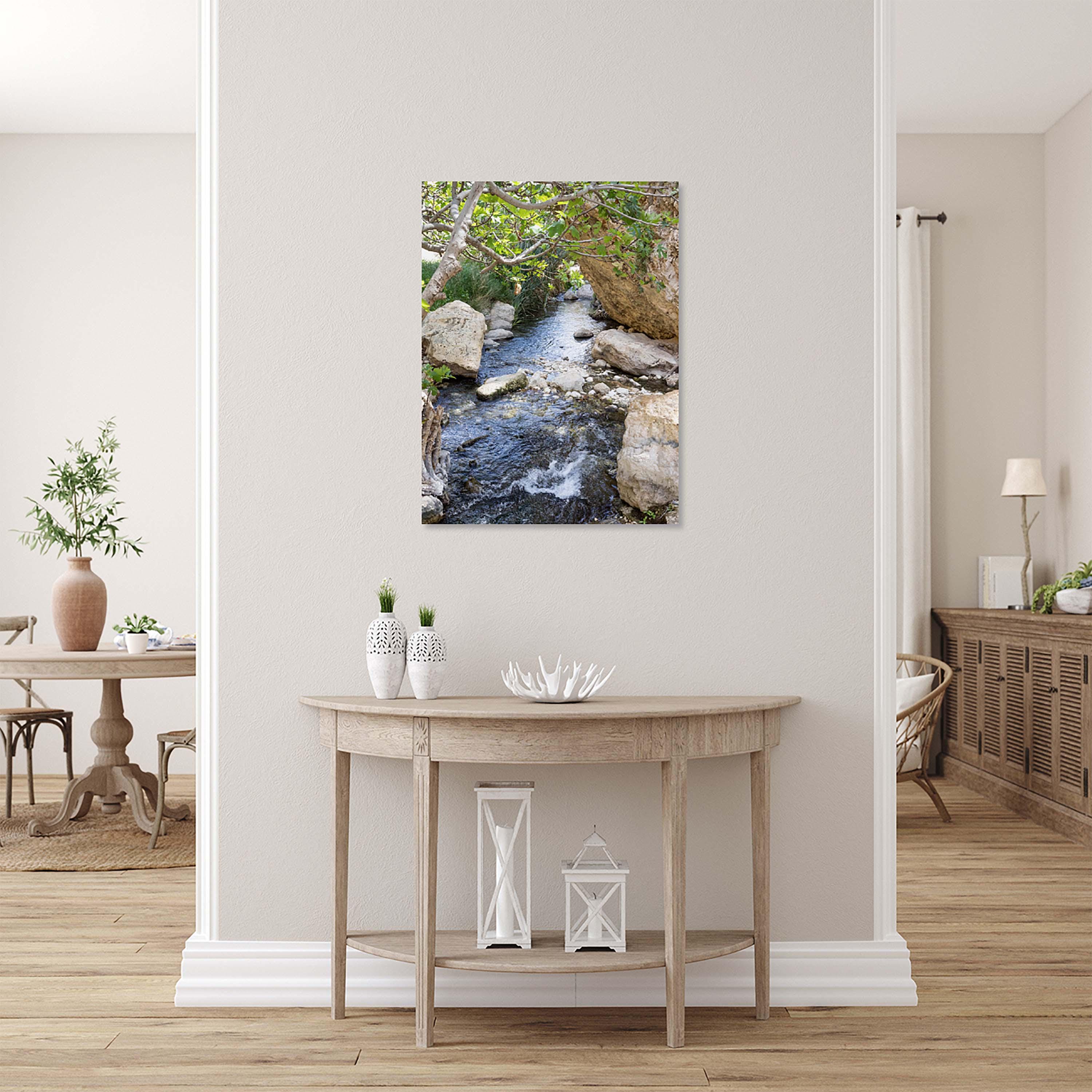 Israel Holy Land Nahal Prat River with Fig Tree and Rocks - Judean Desert