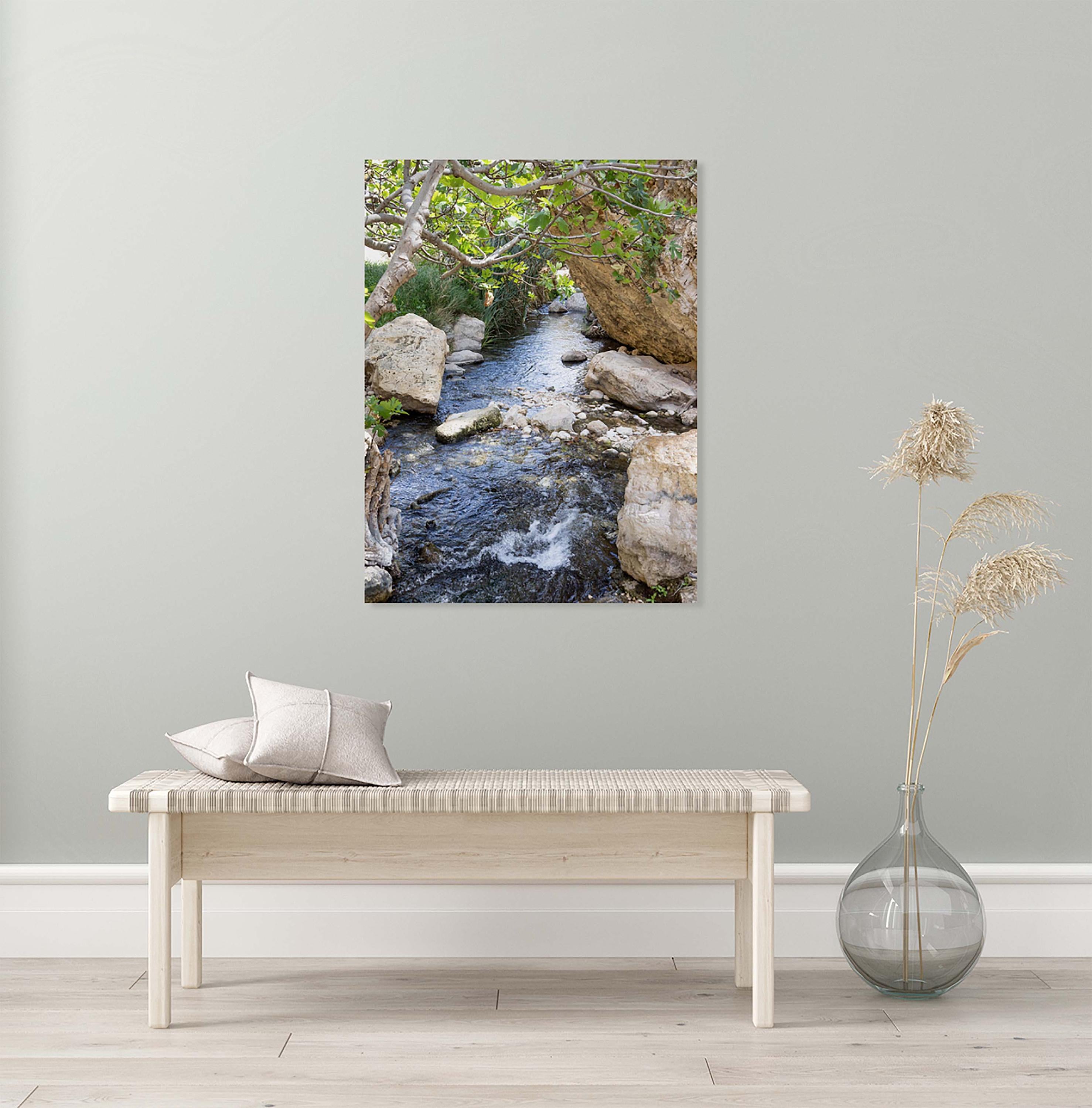Israel Holy Land Nahal Prat River with Fig Tree and Rocks - Judean Desert