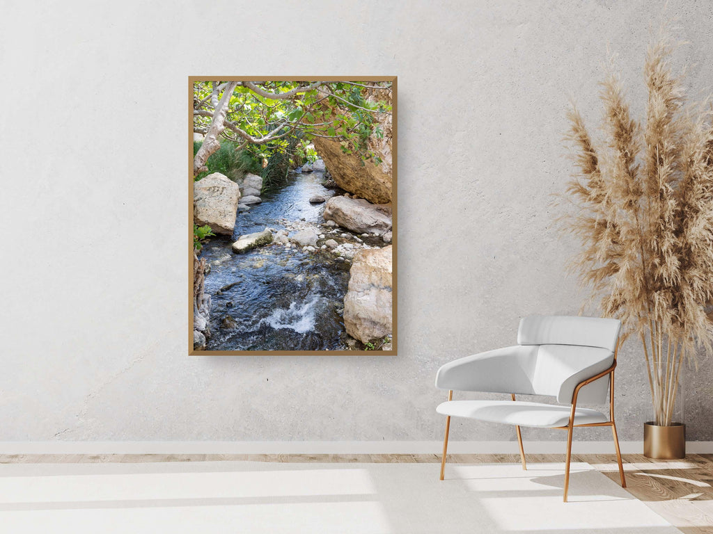 Israel Holy Land Nahal Prat River with Fig Tree and Rocks - Judean Desert