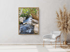 Israel Holy Land Nahal Prat River with Fig Tree and Rocks - Judean Desert
