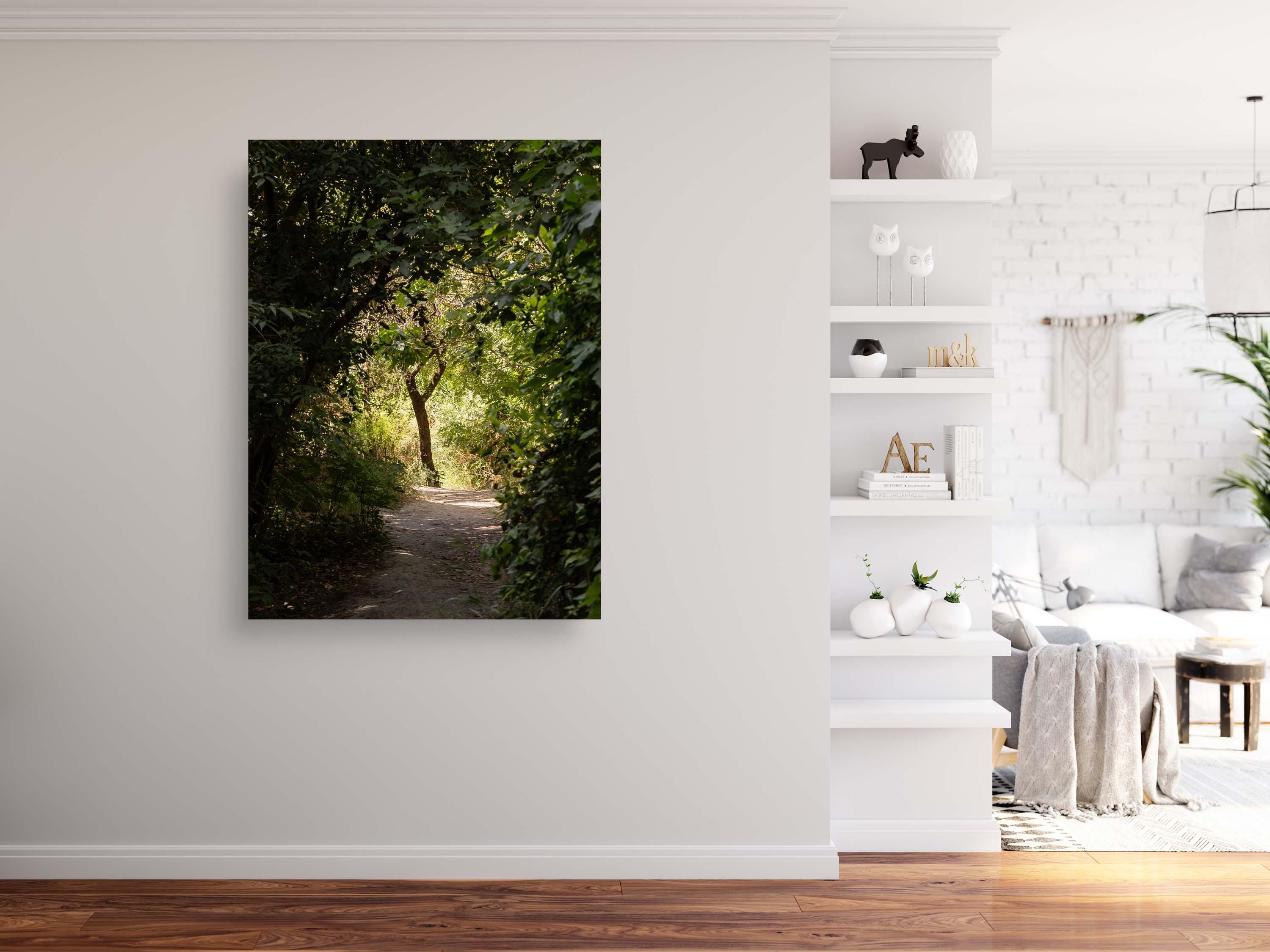 Israeli Holy Land Path with Tree at Sunset — Galilee Nature Promised Land