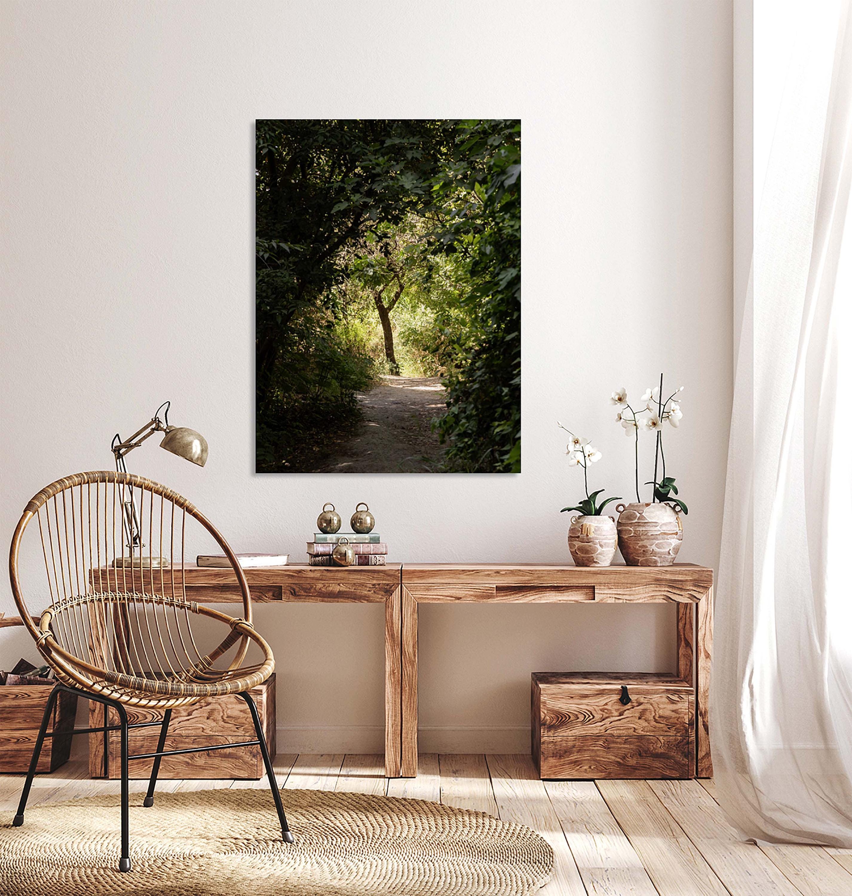 Israeli Holy Land Path with Tree at Sunset — Galilee Nature Promised Land