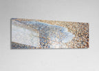 Panoramic Israeli Holy Land Beach and Shells — Coastal Mediterranean Sea Photography