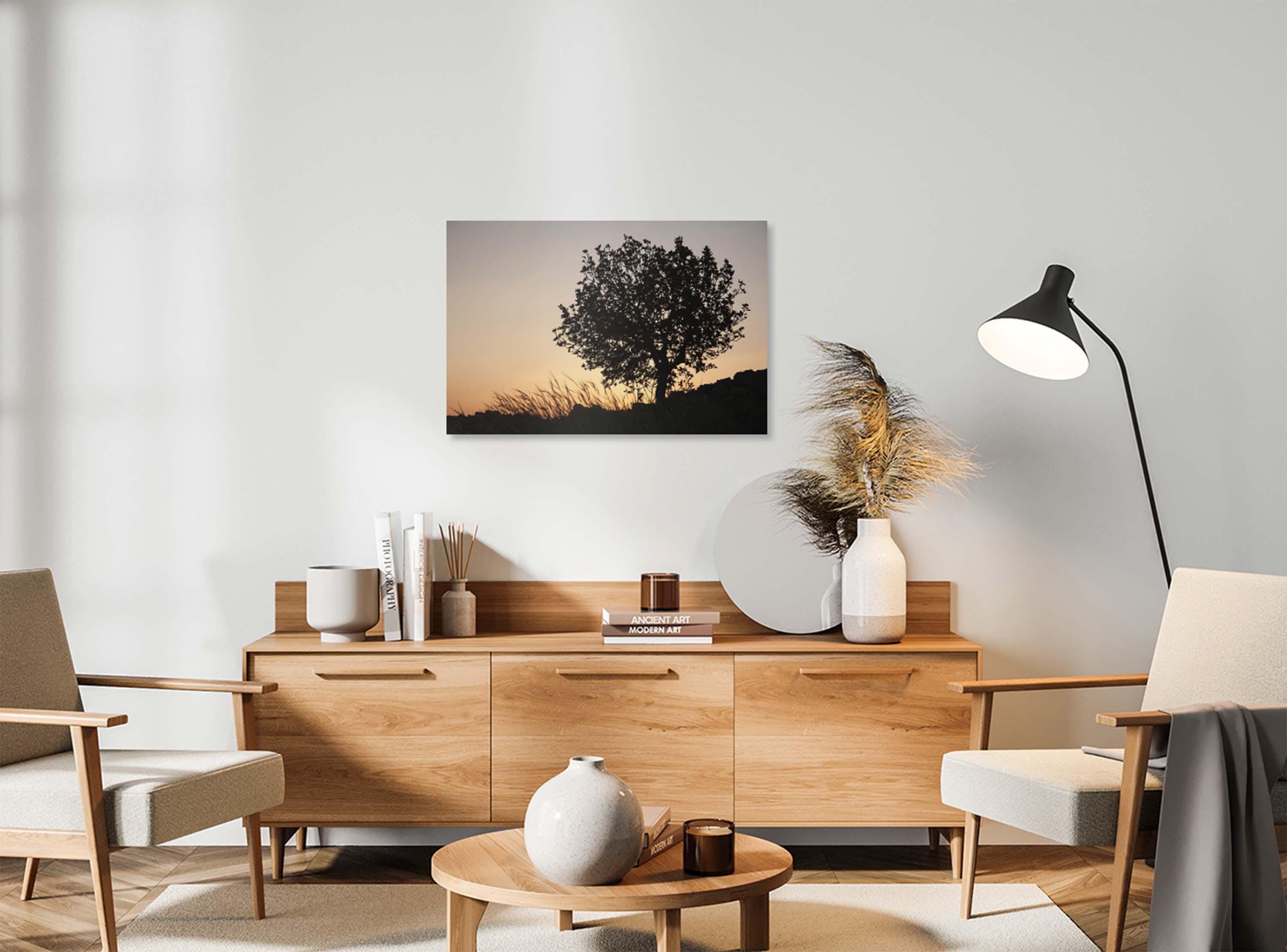 Orange Sunset Tree Landscape Photography — Holy land Israeli Tree & Wild Crops on the Hill