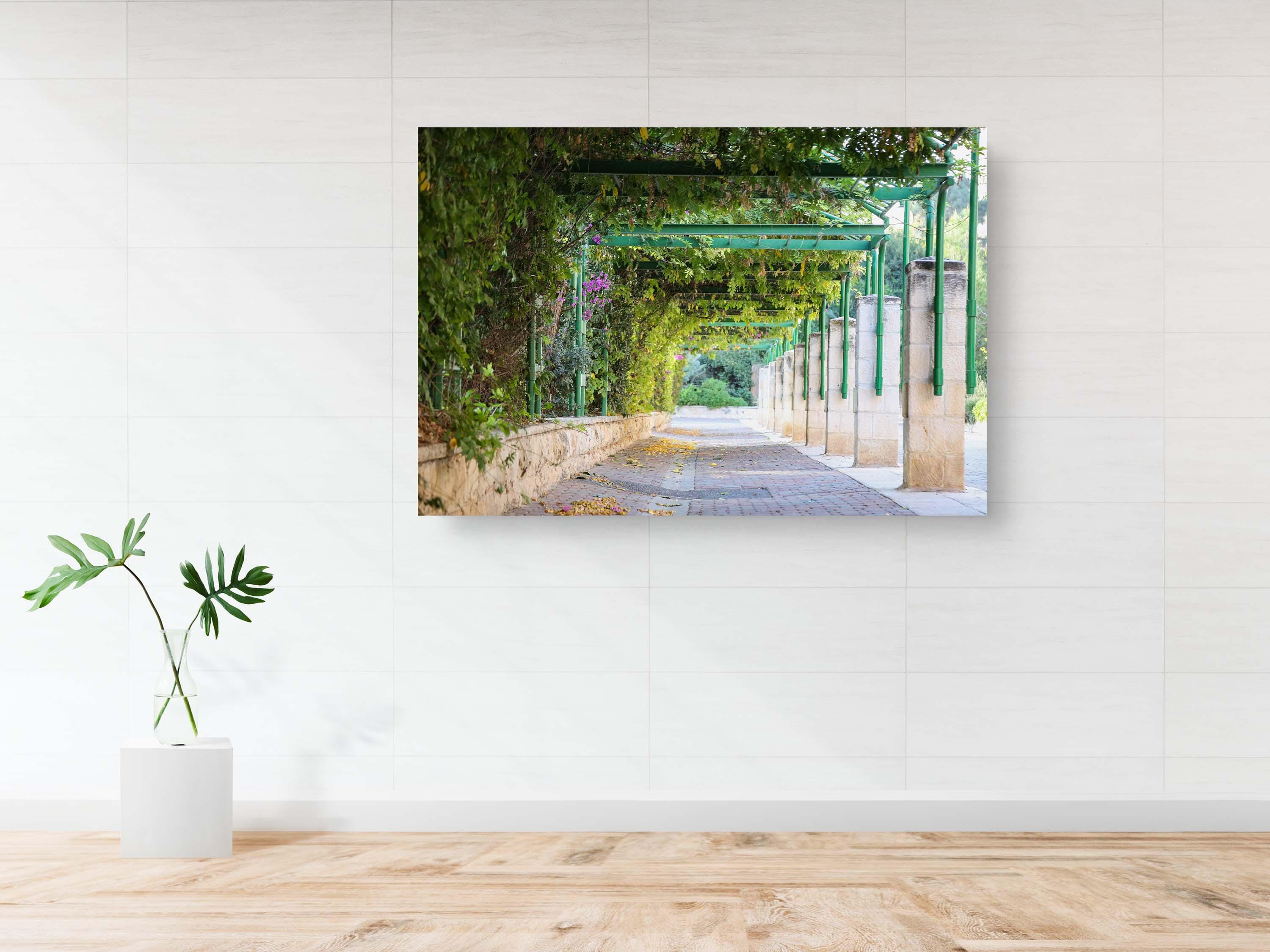 Jerusalem Green Pedestrian Street with Ivy and Flowers — German Colony Neighborhood