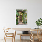 Jerusalem Vintage Brown Wooden Door with Ivy — Yamin Moshe Neighborhood