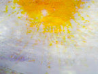 Divine Golden Light Over the Jewish Temple Mount — Abstract Jerusalem Sunrise Painting
