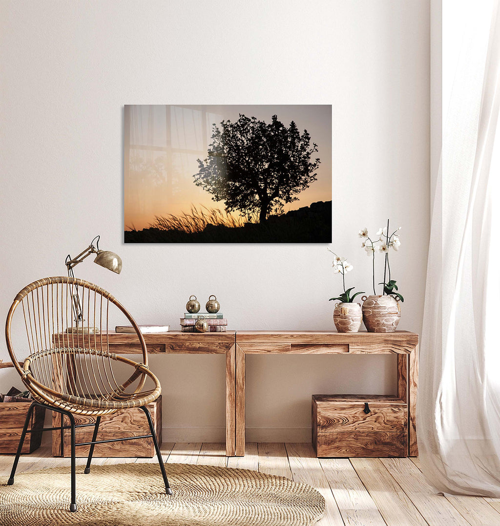 Orange Sunset Tree Landscape Photography — Holy land Israeli Tree & Wild Crops on the Hill