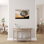 Orange Sunset Tree Landscape Photography — Holy land Israeli Tree & Wild Crops on the Hill
