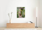 Jerusalem Vintage Brown Wooden Door with Ivy — Yamin Moshe Neighborhood