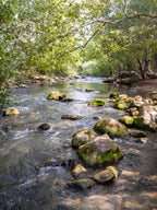 Israeli Holy Land Galilee River Landscape with Rocks & Trees - Jewish Wall Art Deco