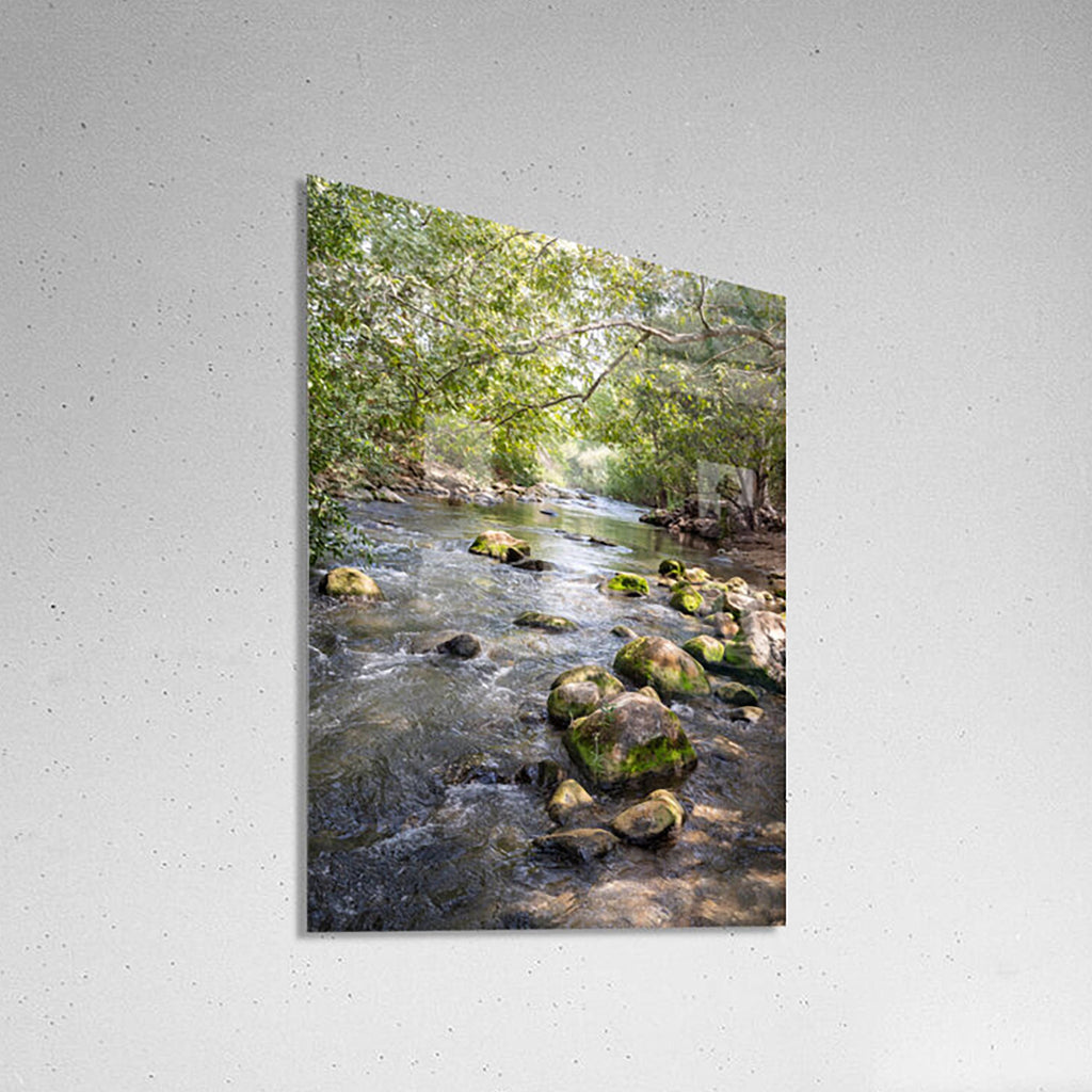 Israeli Holy Land Galilee River Landscape with Rocks & Trees - Jewish Wall Art Deco