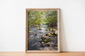 Israeli Holy Land Galilee River Landscape with Rocks & Trees - Jewish Wall Art Deco