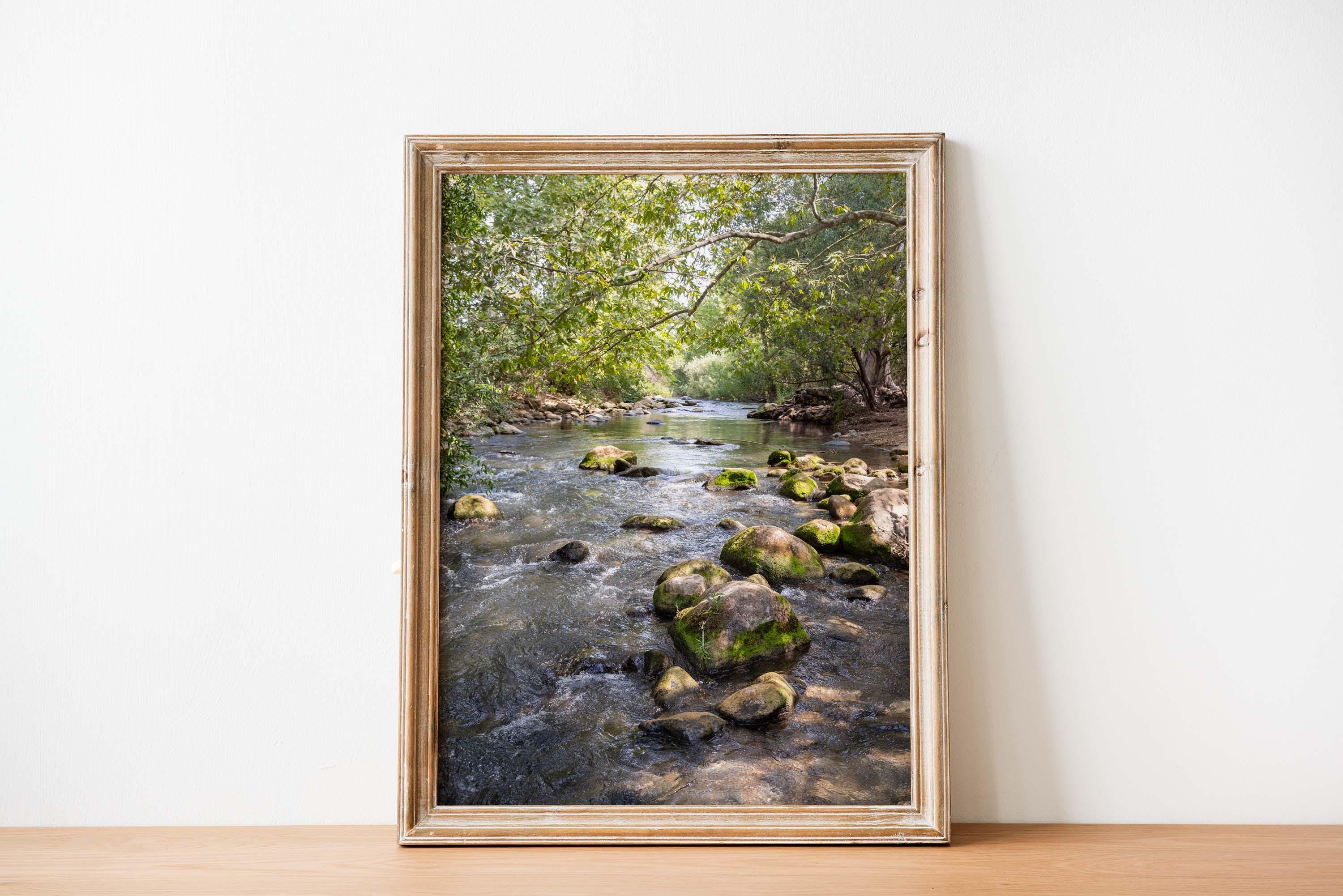 Israeli Holy Land Galilee River Landscape with Rocks & Trees - Jewish Wall Art Deco