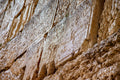 Kotel Western Wall Wet by Night